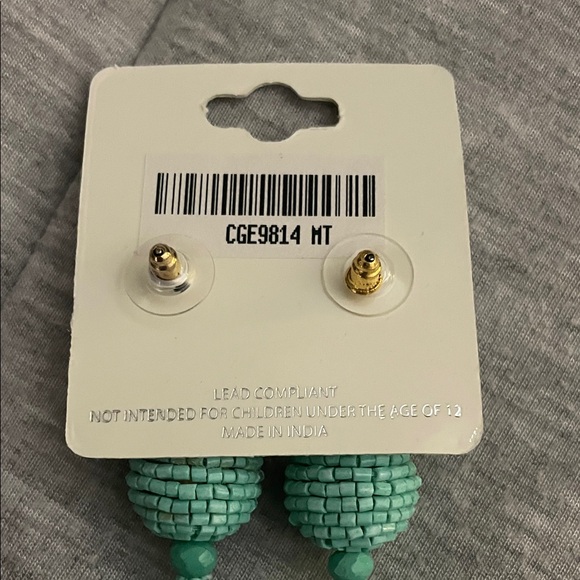 Mi Aqua Beaded Tassel Earrings - Picture 3 of 5